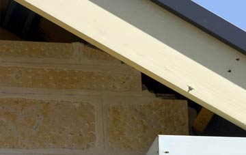 soffit repair Cashlie