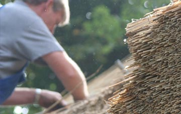 professional Cashlie thatchers