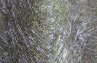 Cashlie fibreglass roof work