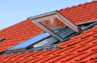 Cashlie roof window